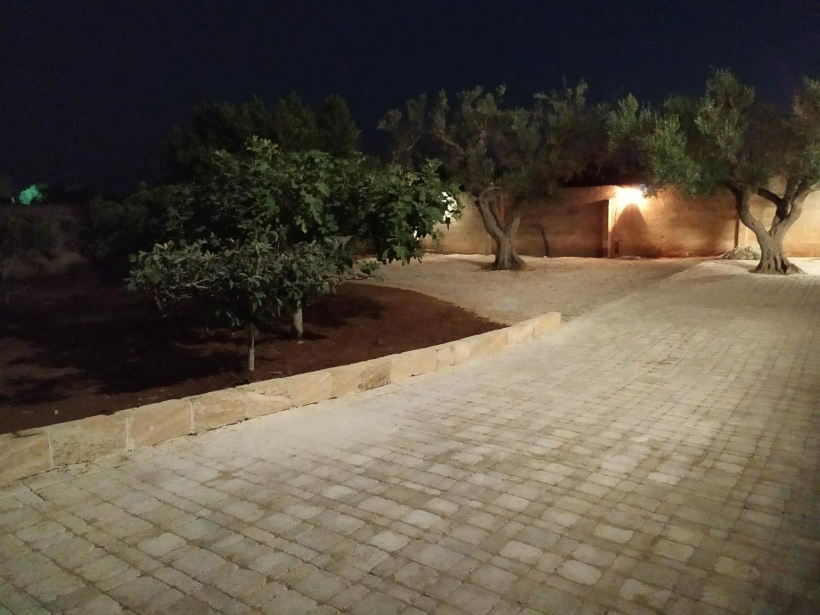 Villa Aurora 1 托雷拉皮罗 外观 照片